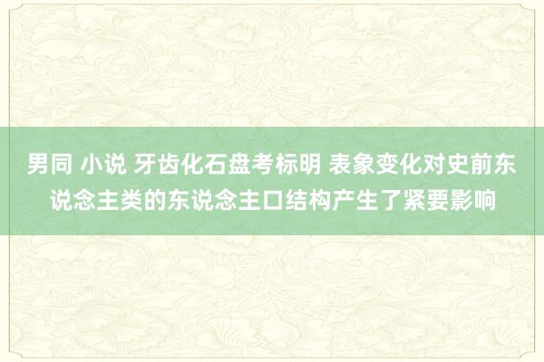 男同 小说 牙齿化石盘考标明 表象变化对史前东说念主类的东说念主口结构产生了紧要影响