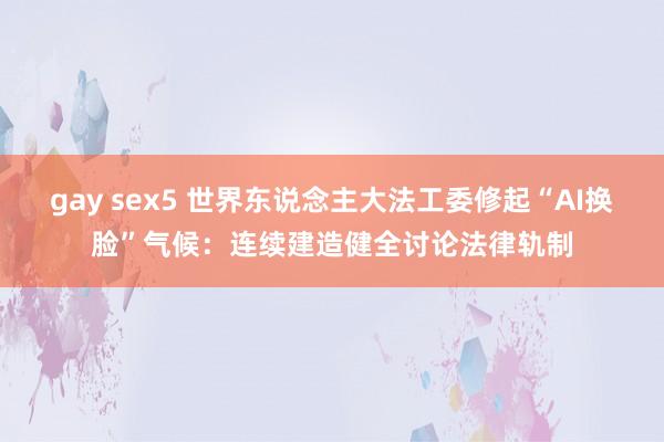 gay sex5 世界东说念主大法工委修起“AI换脸”气候：连续建造健全讨论法律轨制