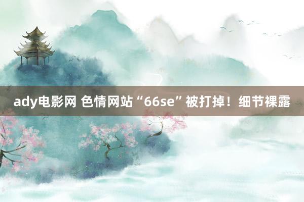 ady电影网 色情网站“66se”被打掉！细节裸露