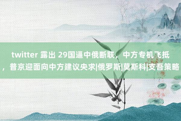 twitter 露出 29国逼中俄断联，中方专机飞抵，普京迎面向中方建议央求|俄罗斯|莫斯科|支吾策略