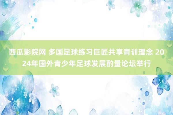 西瓜影院网 多国足球练习巨匠共享青训理念 2024年国外青少年足球发展酌量论坛举行