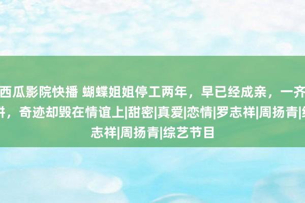 西瓜影院快播 蝴蝶姐姐停工两年，早已经成亲，一齐空乏打拼，奇迹却毁在情谊上|甜密|真爱|恋情|罗志祥|周扬青|综艺节目