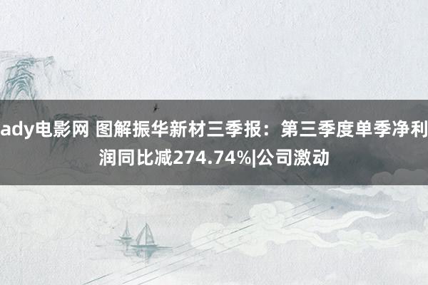 ady电影网 图解振华新材三季报：第三季度单季净利润同比减274.74%|公司激动