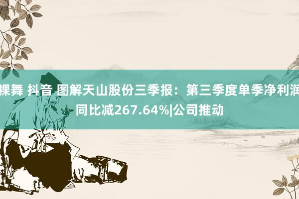 裸舞 抖音 图解天山股份三季报：第三季度单季净利润同比减267.64%|公司推动