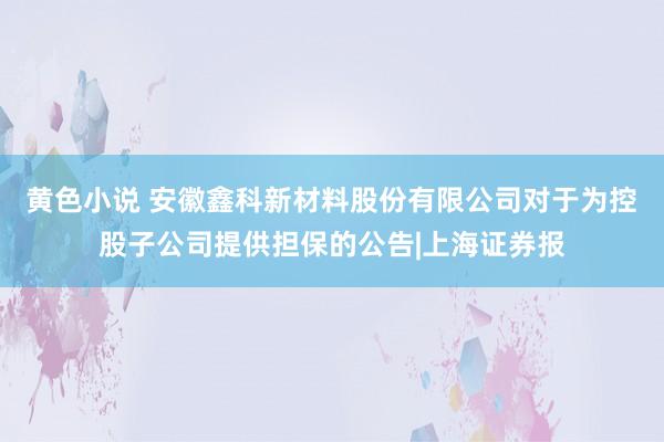 黄色小说 安徽鑫科新材料股份有限公司对于为控股子公司提供担保的公告|上海证券报