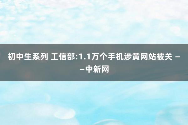 初中生系列 工信部:1.1万个手机涉黄网站被关 ——中新网